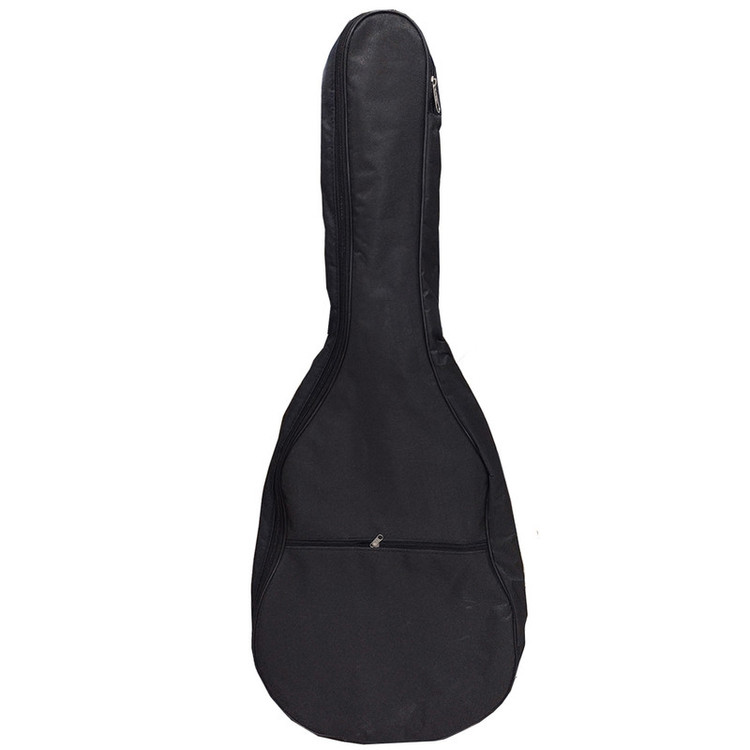 گیتار پارسی مدل P40